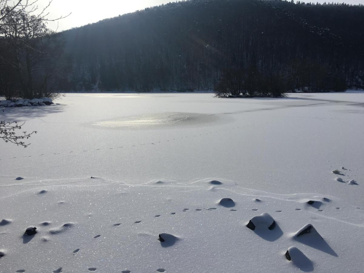 Restaurant Le Grillon Chambon-sur-Lac